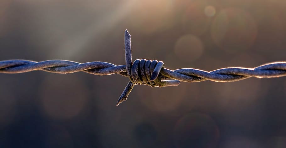 selective focus photography of gray link wire, pasture fence