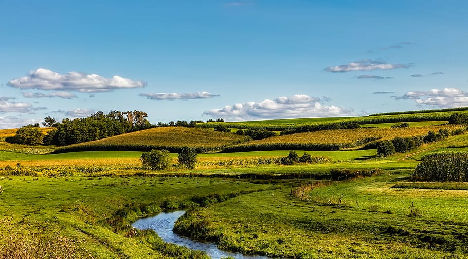 green grass field, wisconsin, panorama, fields, meadow, sky HD wallpaper