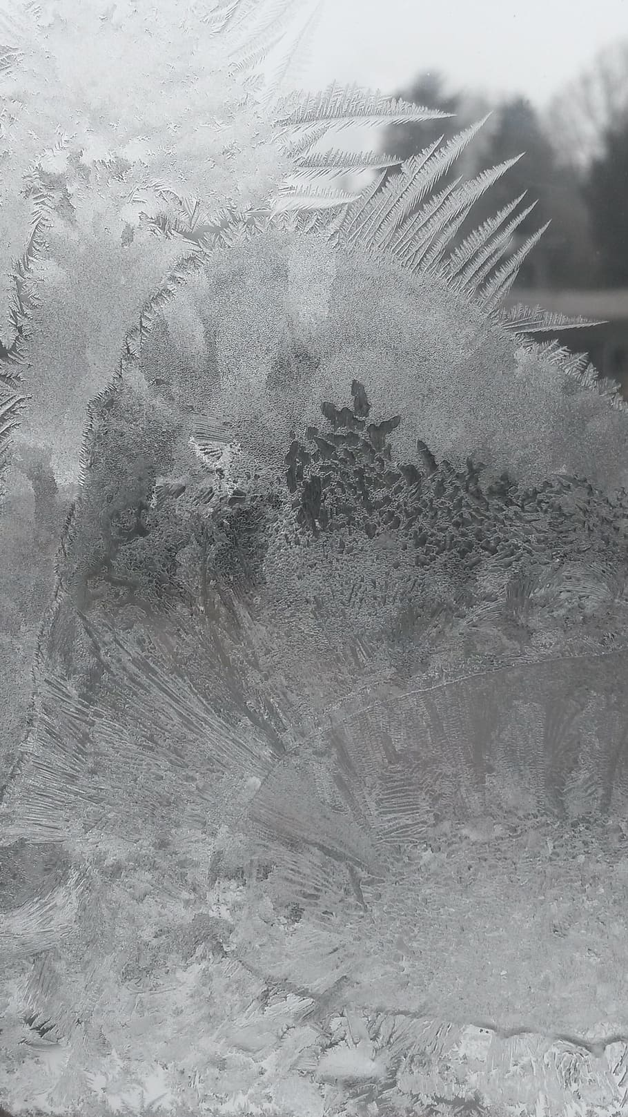 HD wallpaper Hardest Window Frosty Winter Ice frozen cold  eiskristalle  Wallpaper Flare
