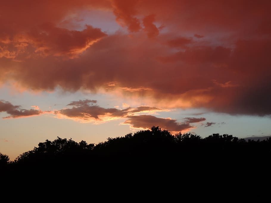 sunset, sky, dusk, cloud - sky, beauty in nature, tree, silhouette HD wallpaper