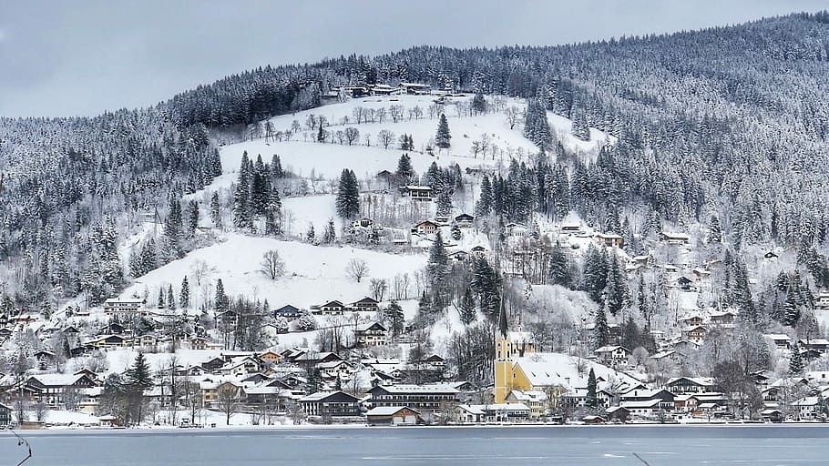 snow, winter, nature, cold, cold temperature, mountain, tree HD wallpaper