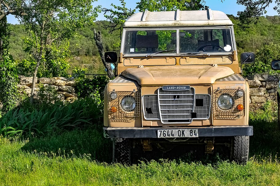 car, range rover, vehicle, land, nature, automobile, jeep, plant HD wallpaper