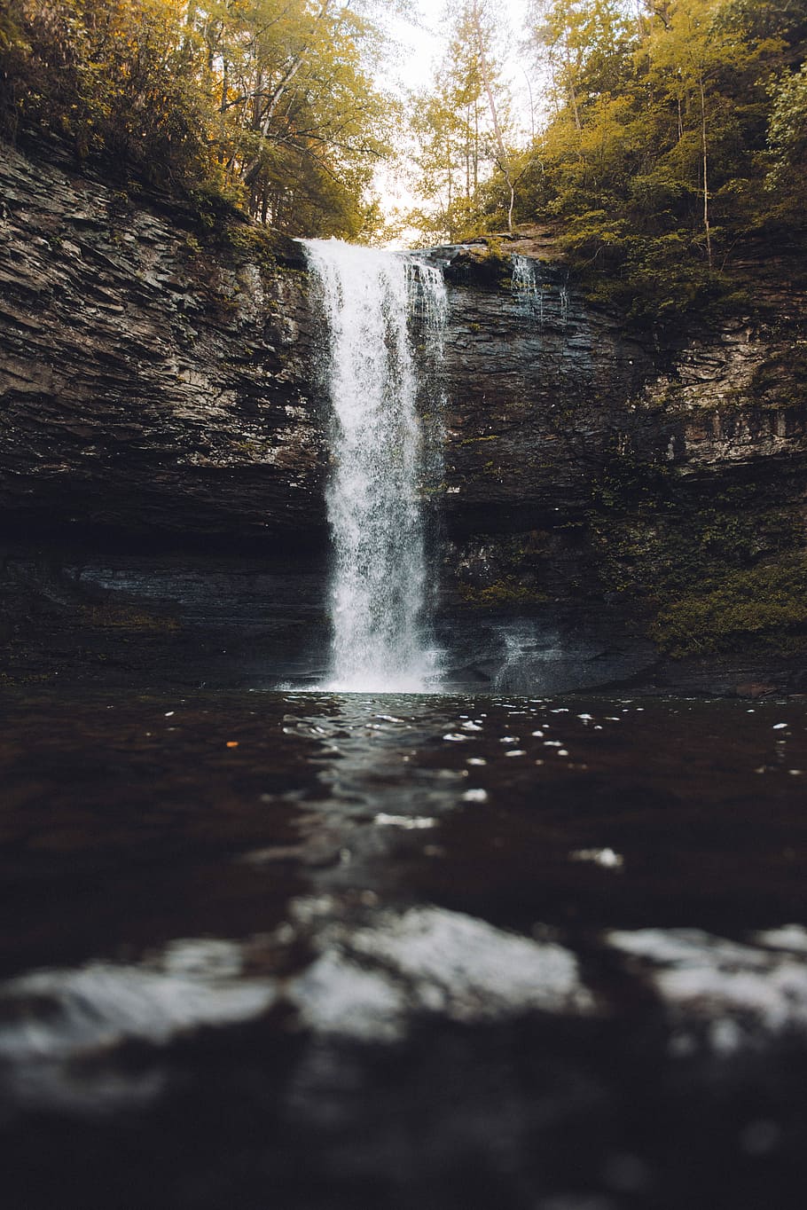 waterfalls surrounded with trees, untitled, cascade, wallpaper HD wallpaper