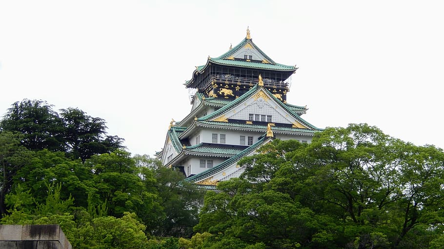 temple, japane, history, tree, plant, built structure, building exterior HD wallpaper