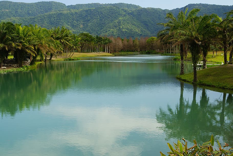 taiwan, landscape, tree, water, plant, lake, reflection, scenics - nature HD wallpaper