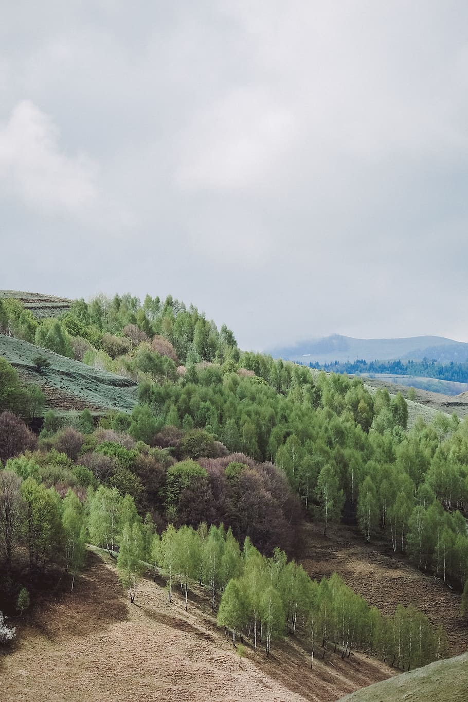 aerial view of mountain, green leafed trees under cloudy sky HD wallpaper