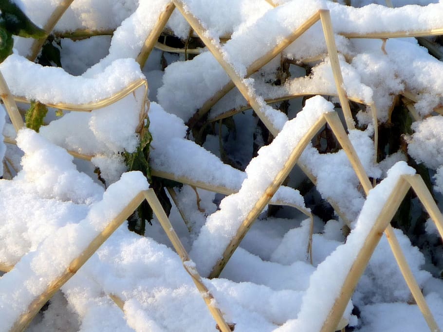 straws, winter, snow, wintry, snowy, cold, white, bent, cold temperature HD wallpaper