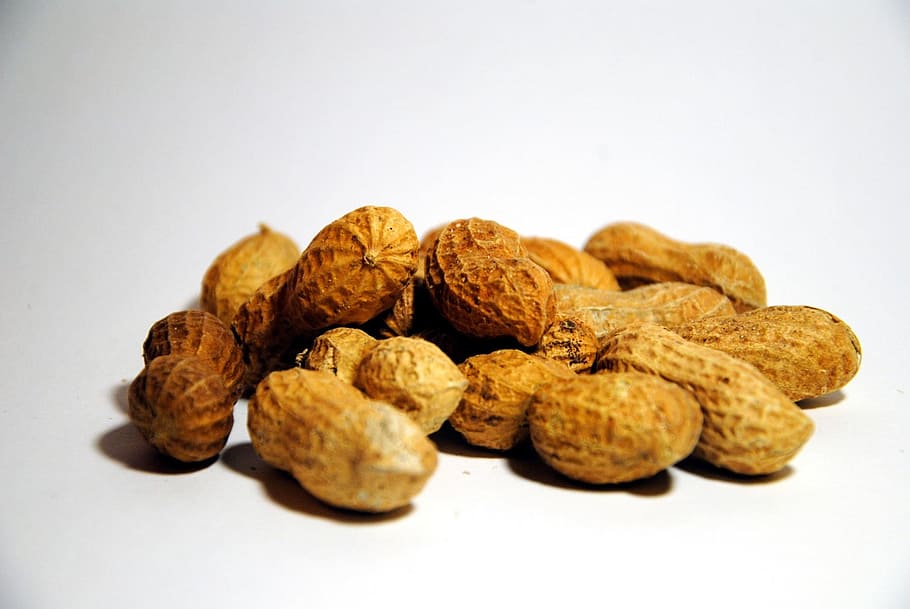 brown peanuts, Food, Healthy, snack, natural, ingredient, nutrition HD wallpaper