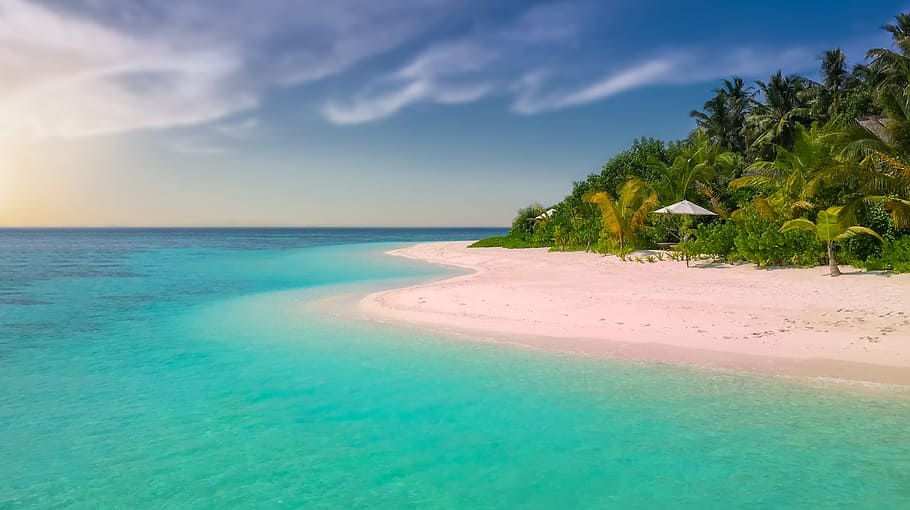 white sand beach by the ocean, pink beach, paradise, paradise beach