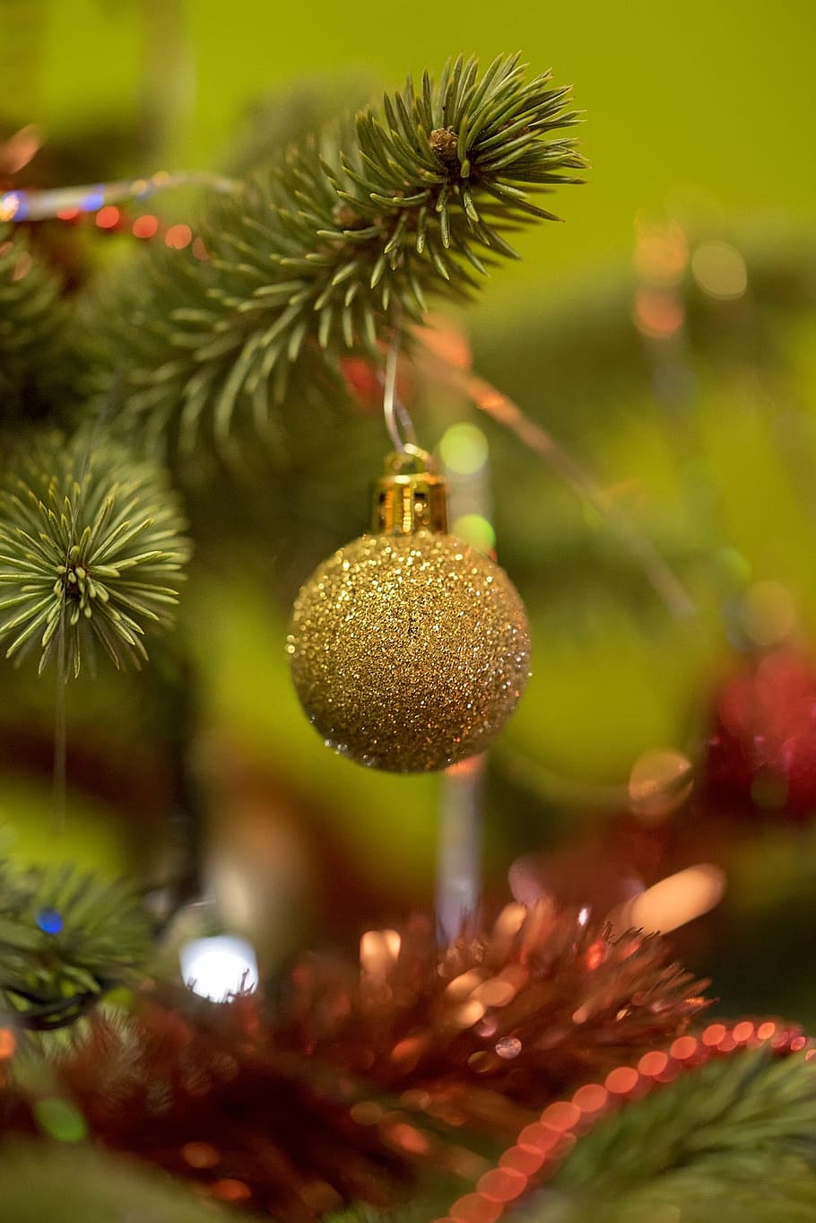 tree, christmas, winter, branch, nature, closeup, fir, hanging HD wallpaper