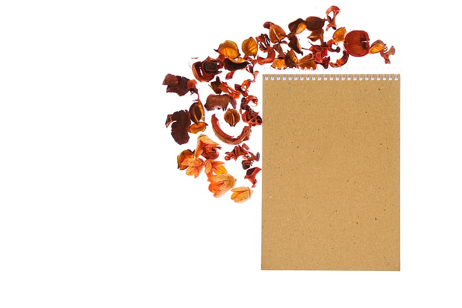 notebook, flower, paper, to write, page, dry, decor, style