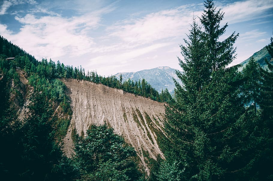 bottom view of brown mountain, green pine tree under blue sky HD wallpaper