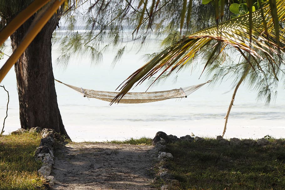 white hammock near body of water, zanzibar, holiday, sand beach