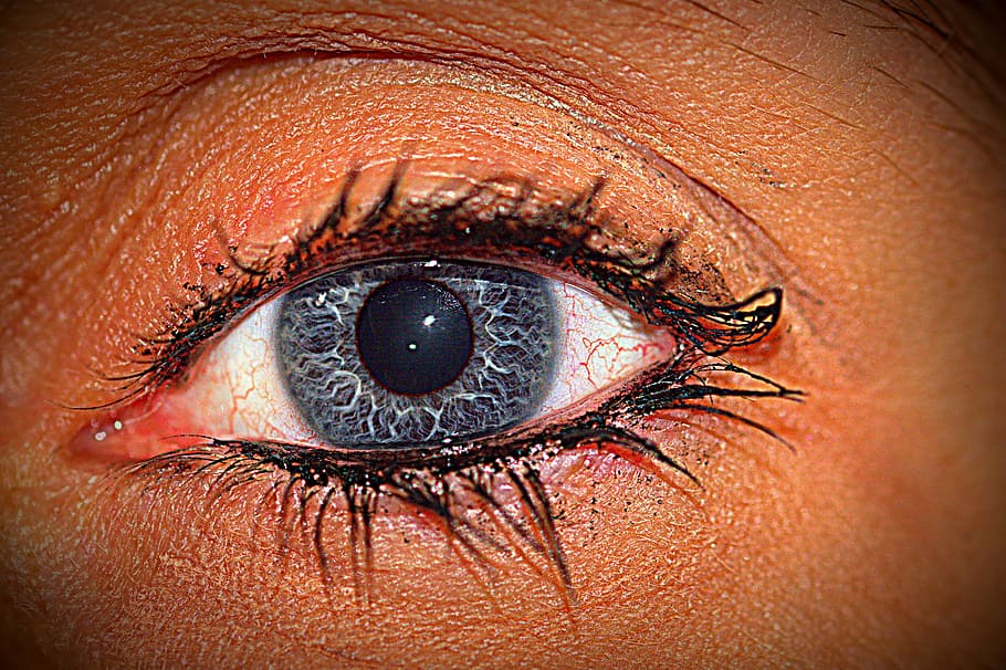 eye, blue, eyelashes, black eye, view, close, human eye, human body part, HD wallpaper