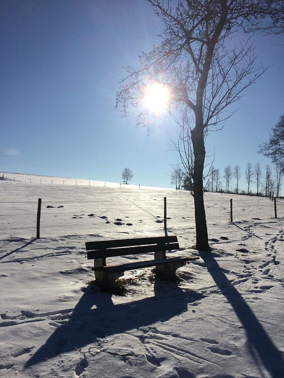winter, rest, landscape, snow, cold temperature, sunlight, sky HD wallpaper
