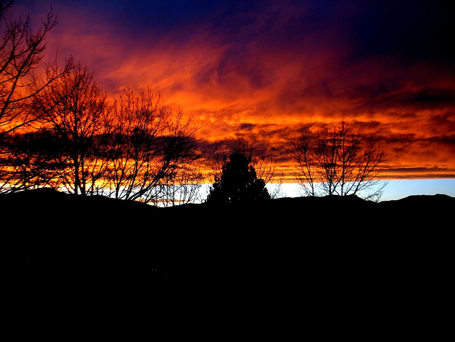 sunset, pikes peak, mood, clouds, tree, silhouette, plant, tranquility HD wallpaper