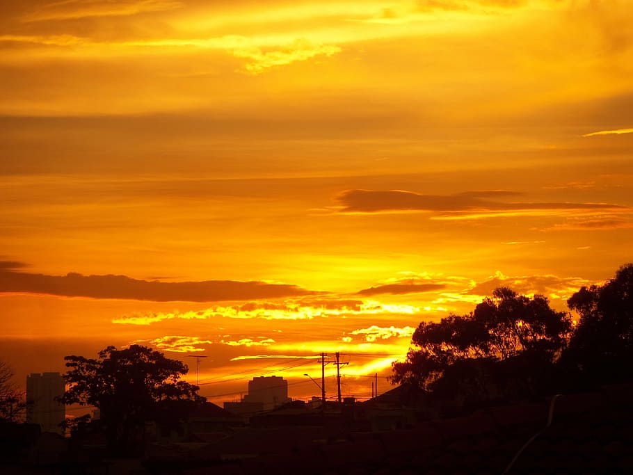 sunset, trees, sky, nature, landscape, outdoor, sunlight, cloud - sky HD wallpaper