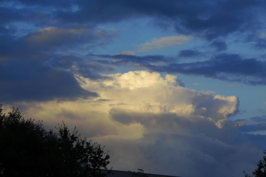 clouds, sky, white, bright, cloud - sky, beauty in nature, tree HD wallpaper