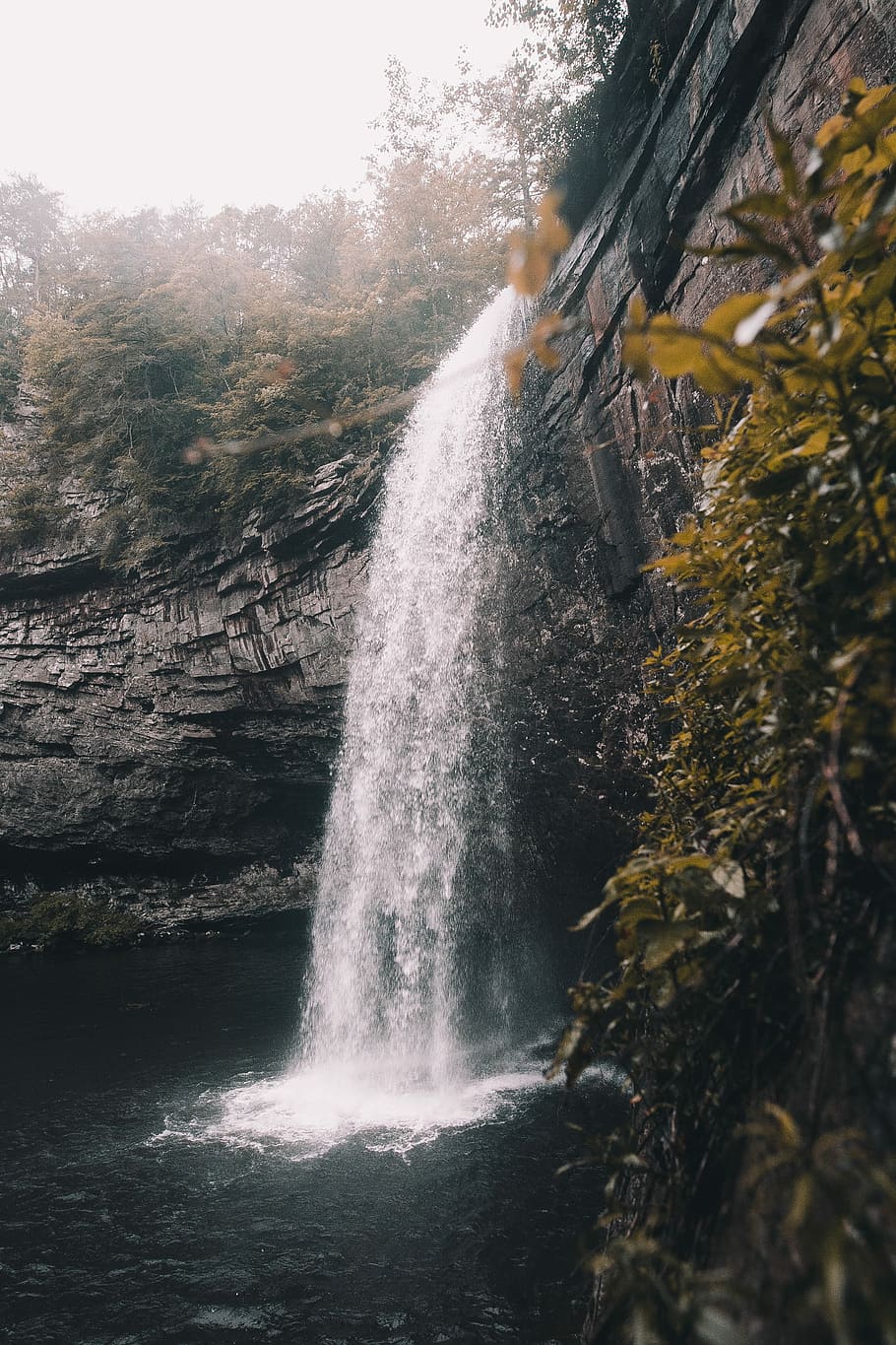 photo of waterfalls, waterfalls during daytime, cliff, rock, forest HD wallpaper