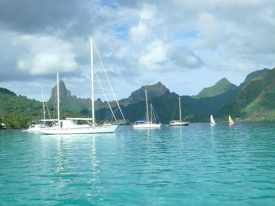 sailing boats on blue sea surrounded by mountains, moorea, tahiti