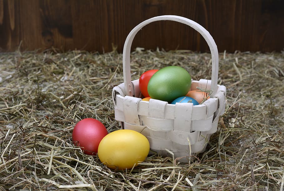 white wicker basket and easter eggs, easter nest, decoration HD wallpaper