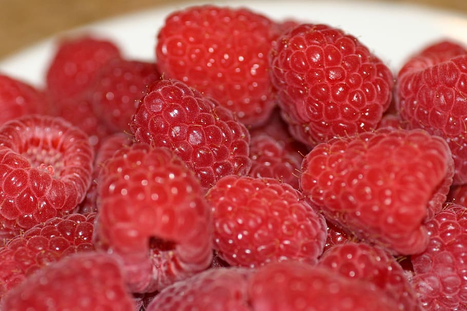 raspberry, berries, sweet, fresh, delicious, juicy, ripe, healthy HD wallpaper