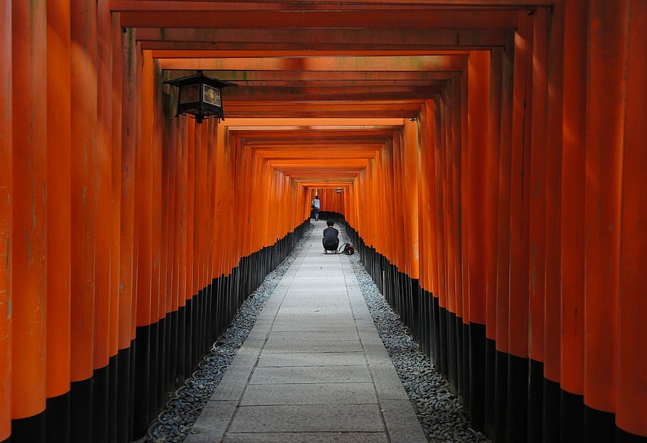 person sitting inside red and black painted hallway, hallway of tori gates HD wallpaper