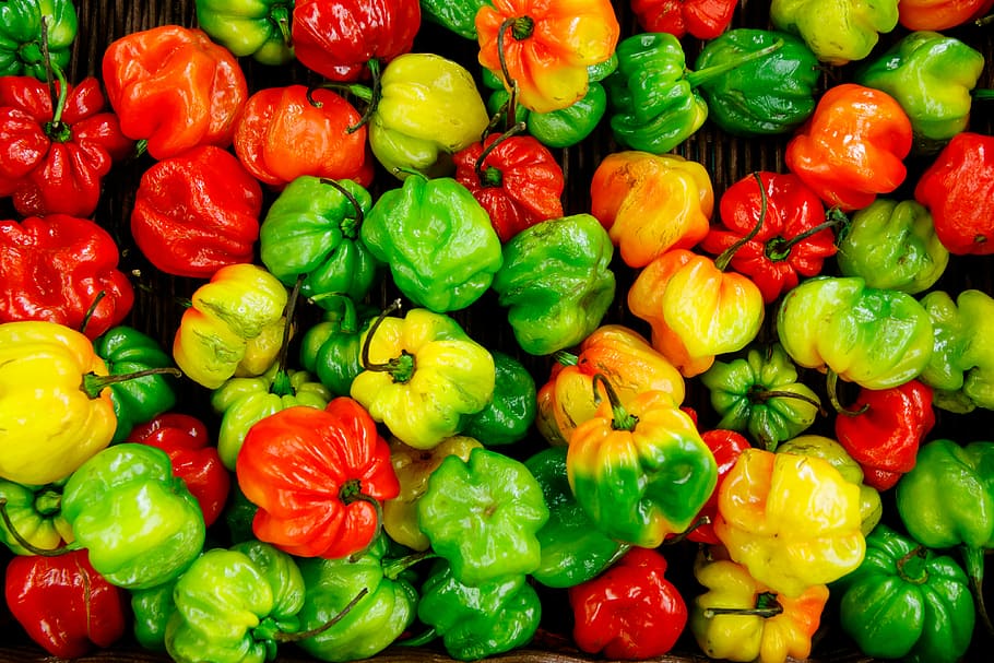 bunch of bell peppers, assorted-colored fruits, vegetable, flat lay HD wallpaper
