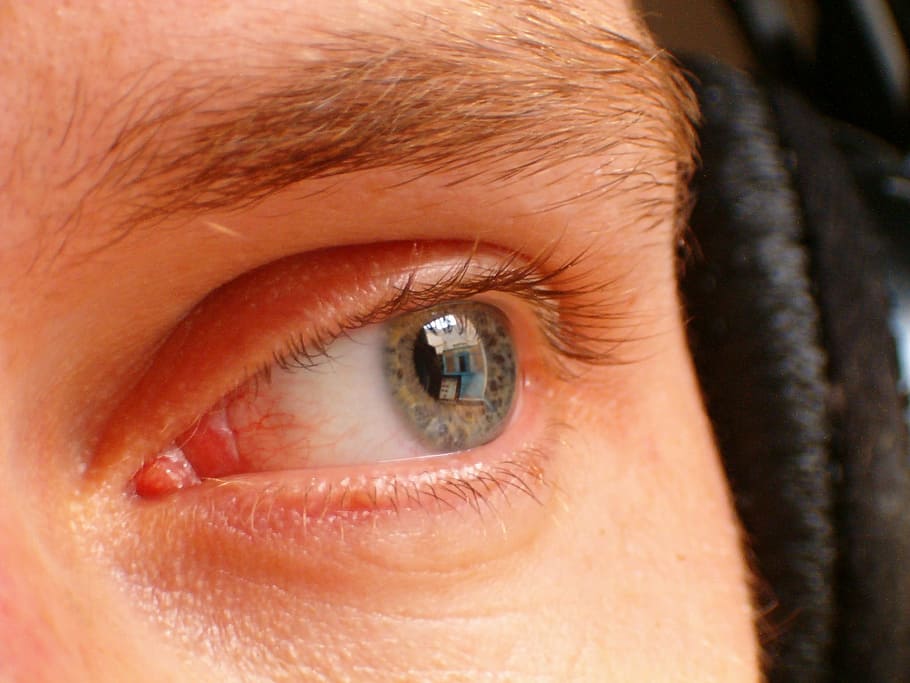 Eye, Look, Eyebrows, Eyelashes, eyes, dream, close-up, human Eye HD wallpaper