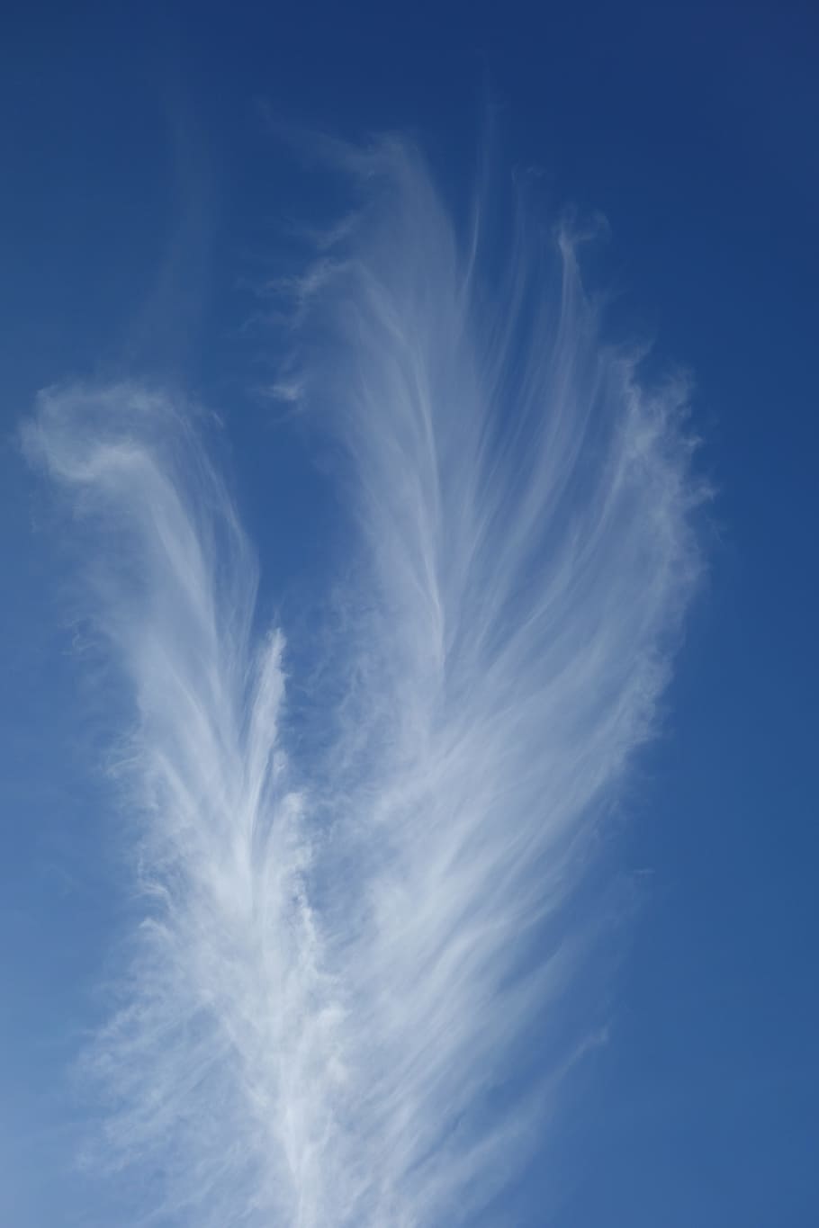 Cloud, Sky, Blue, Sky Blue, federwolke, fine ice crystals, cloud - sky, HD wallpaper