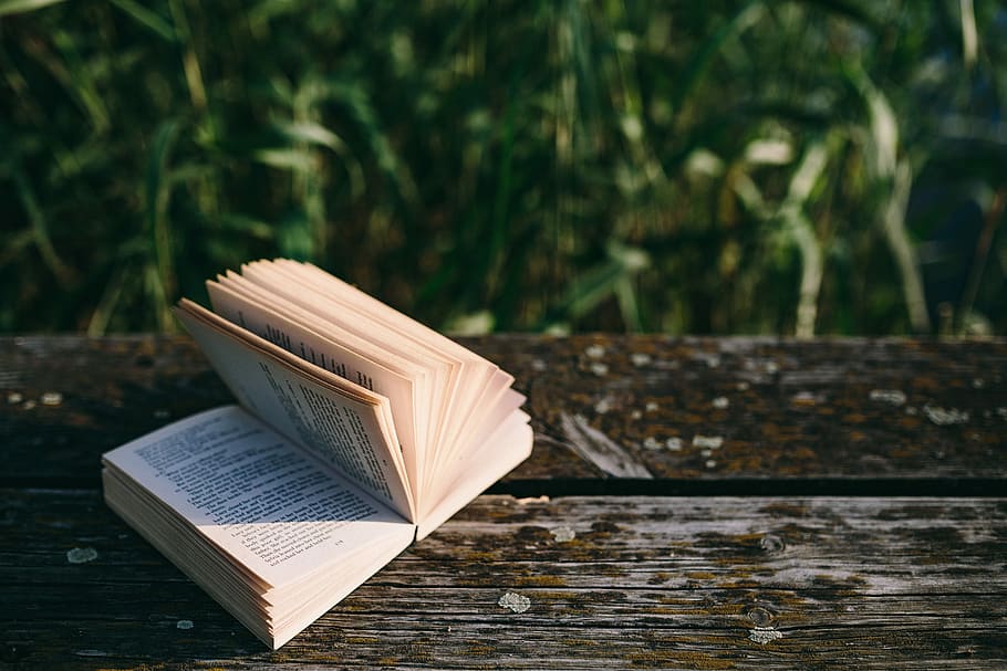 Reading book at lake, summer, opened notebook, time, old pier HD wallpaper