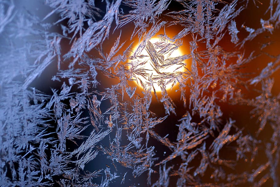light, effect, sun, design, cold temperature, winter, frozen HD wallpaper