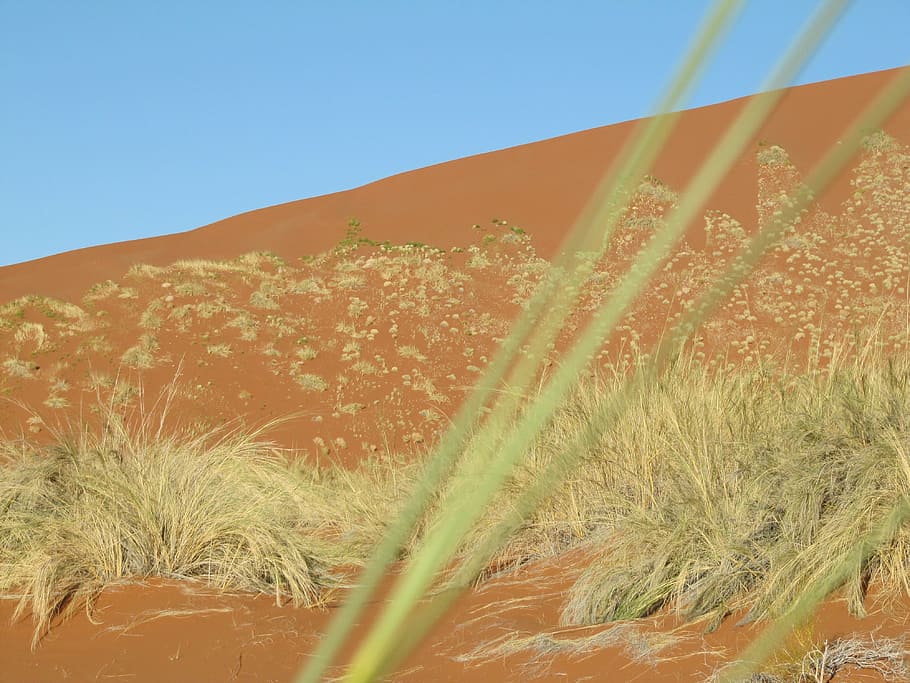 desert, namib, namibia, landscape, sand, sossusvlei, nature, HD wallpaper