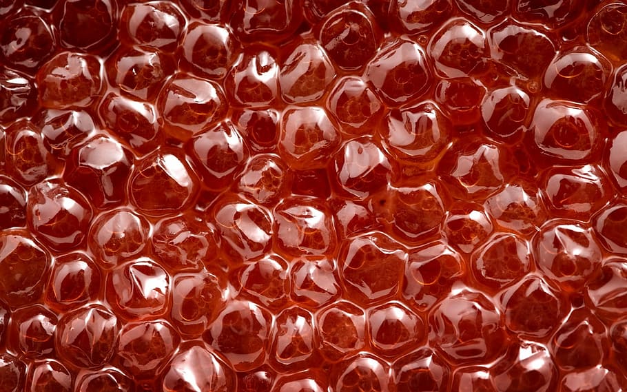 Balloon, Bubble, red, backgrounds, full frame, no people, close-up HD wallpaper
