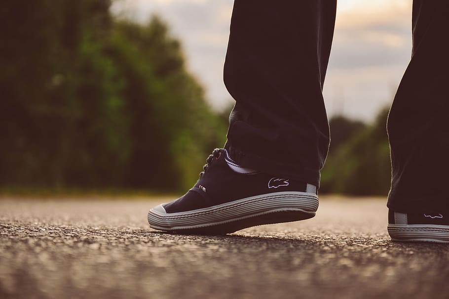selective focus photography of person showing pair of black Lacoste low-top sneakers, HD wallpaper