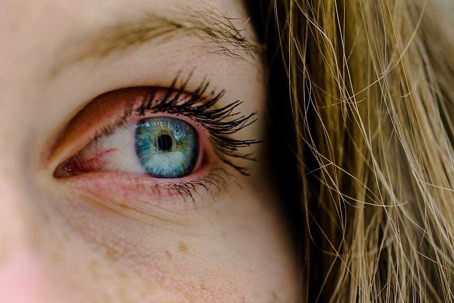 iris, eye, look, human eye, human body part, close-up, eyesight HD wallpaper