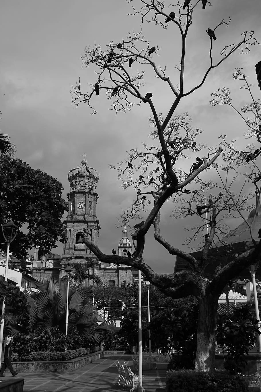 town, church, black and withe, architecture, city, cathedral HD wallpaper