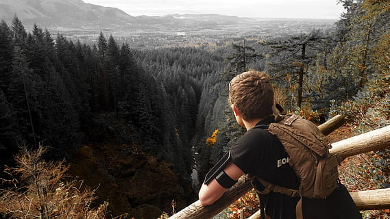 Man in Black Shirt and Brown Backpack Leaning on Brown Wooden Handrail Looking over Green Leaf Pine Trees and Creek HD wallpaper