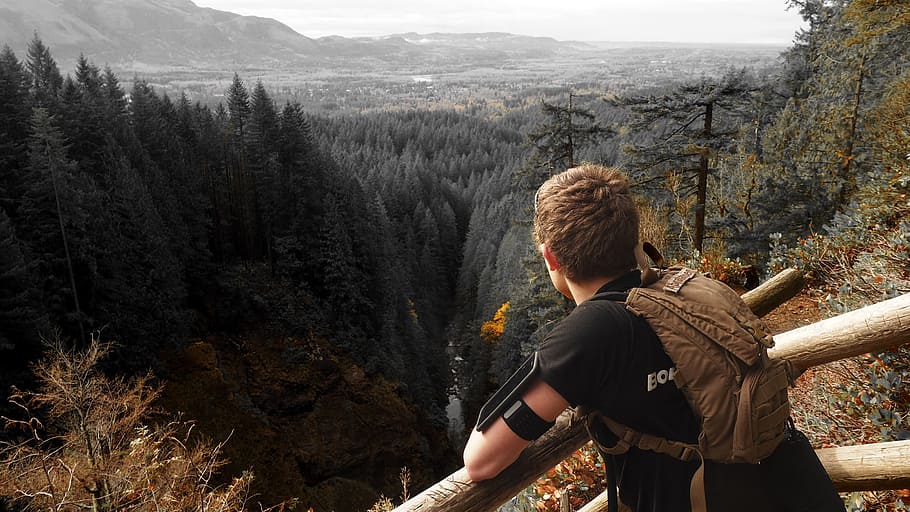 Man in Black Shirt and Brown Backpack Leaning on Brown Wooden Handrail Looking over Green Leaf Pine Trees and Creek HD wallpaper
