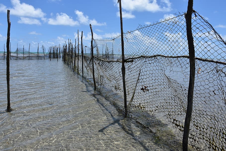Fishery, Beach, mar, fence, net - Sports Equipment, no People HD wallpaper