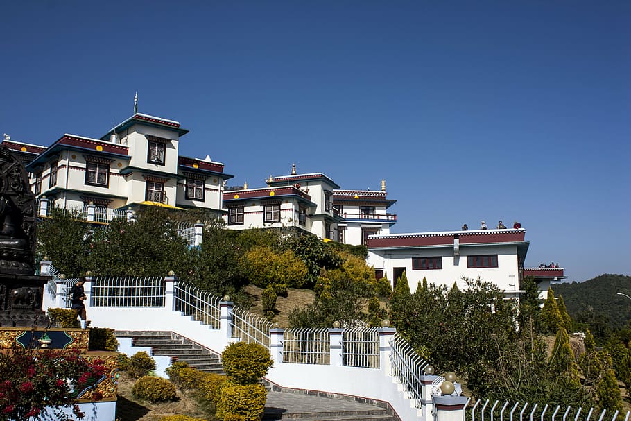 monastery, buddhist, temple, buddhist monastery, religion, architecture HD wallpaper