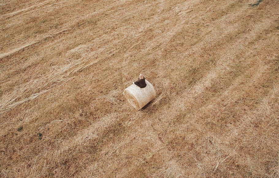 bail of hay, woman sitting on hay during daytime, land, high angle view HD wallpaper