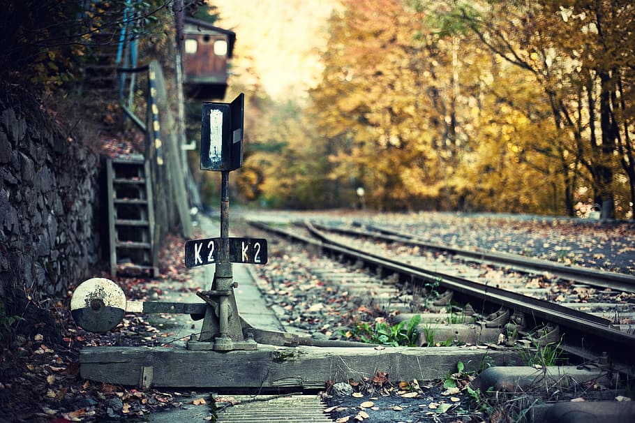 track, points, leaves, railway, rail transportation, railroad track HD wallpaper