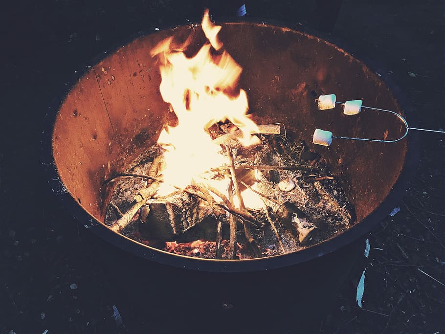 person barbecuing marshmallow, fire, fire pit, burning, flame HD wallpaper