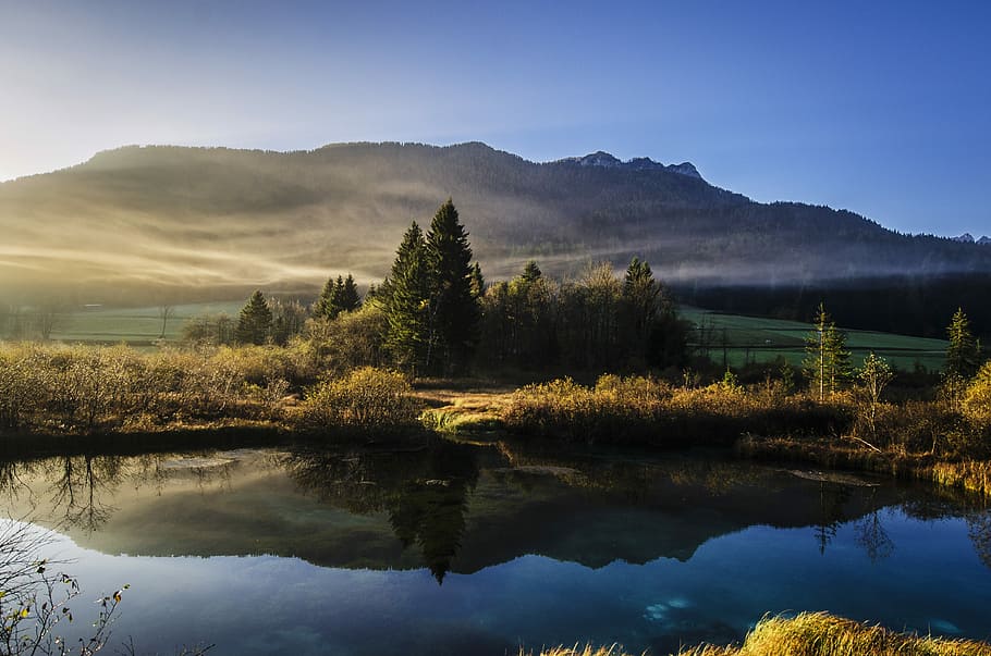 calm lake surrounded by trees near mountain range, forest and body of water photo HD wallpaper