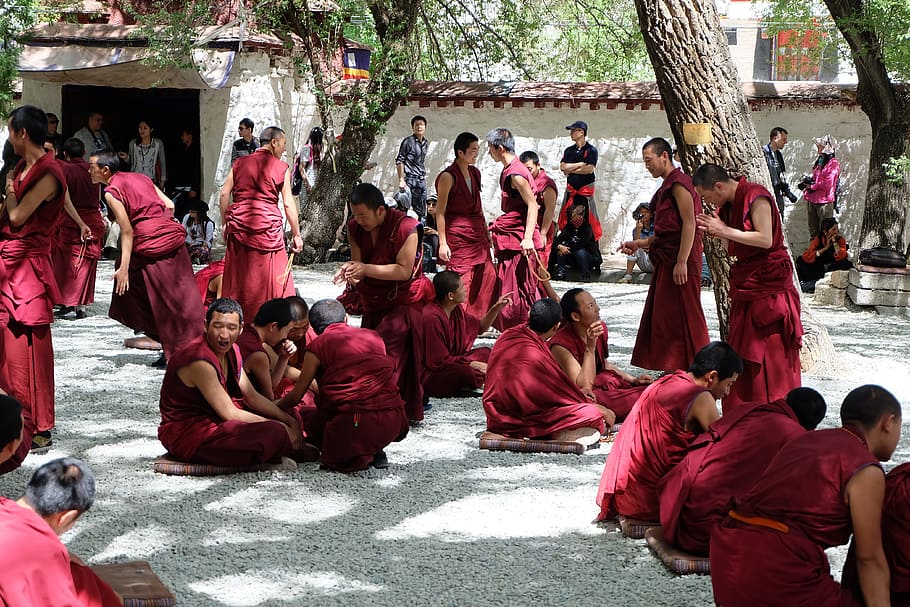 Tibet, Monk, Talk, Students, young, large group of people, red HD wallpaper