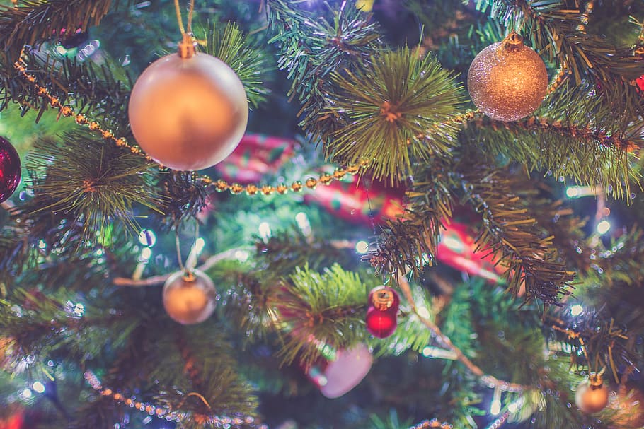 gold and red baubles hanging on pine tree, christmas, lights HD wallpaper