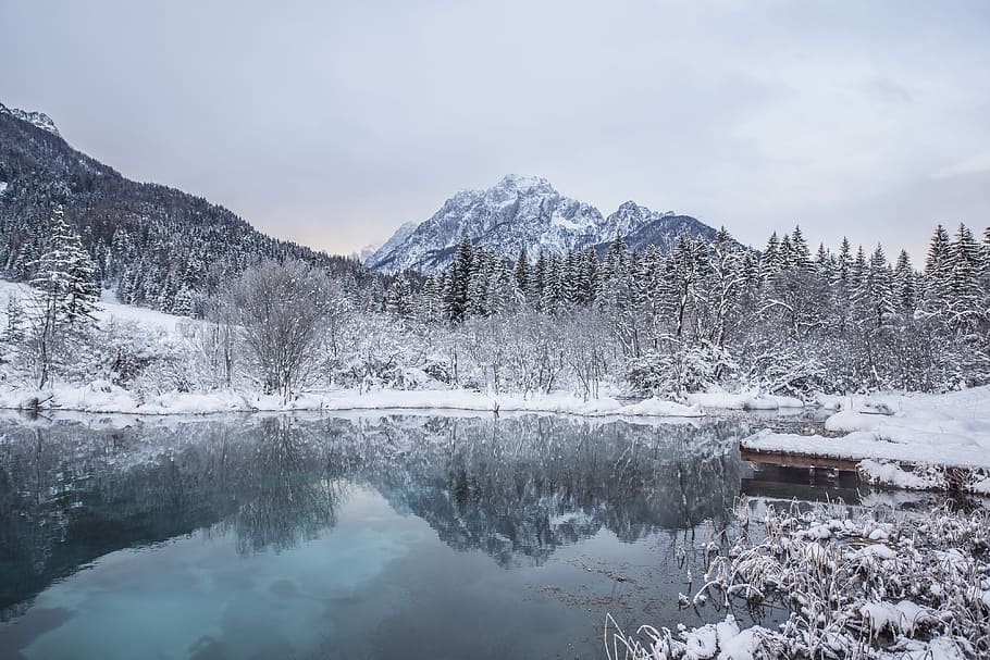 trees and mountains covered with snow beside body of water under grey sky during twilight HD wallpaper