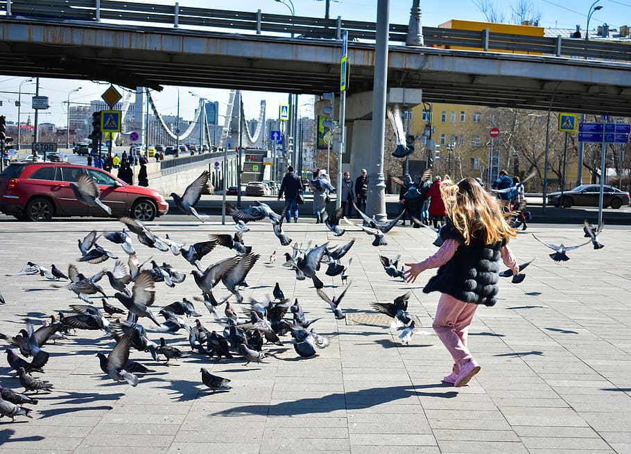people, megalopolis, motion, crowd, real people, architecture HD wallpaper