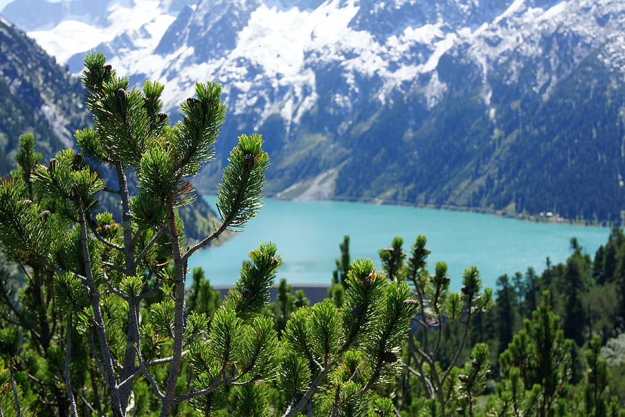 zillertal, schlegeis, mountains, alpine, nature, reservoir